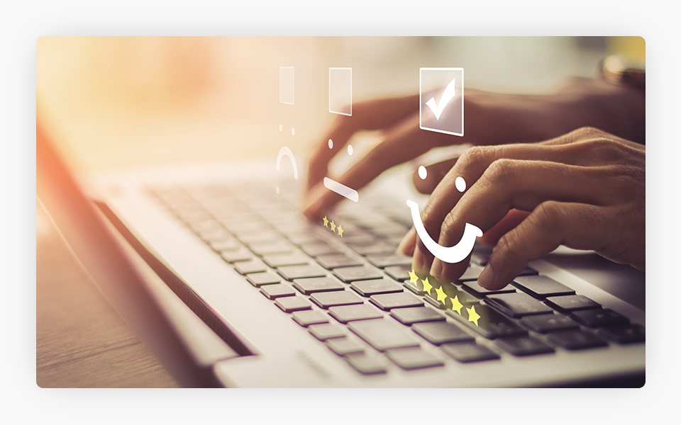 Website Reviews
